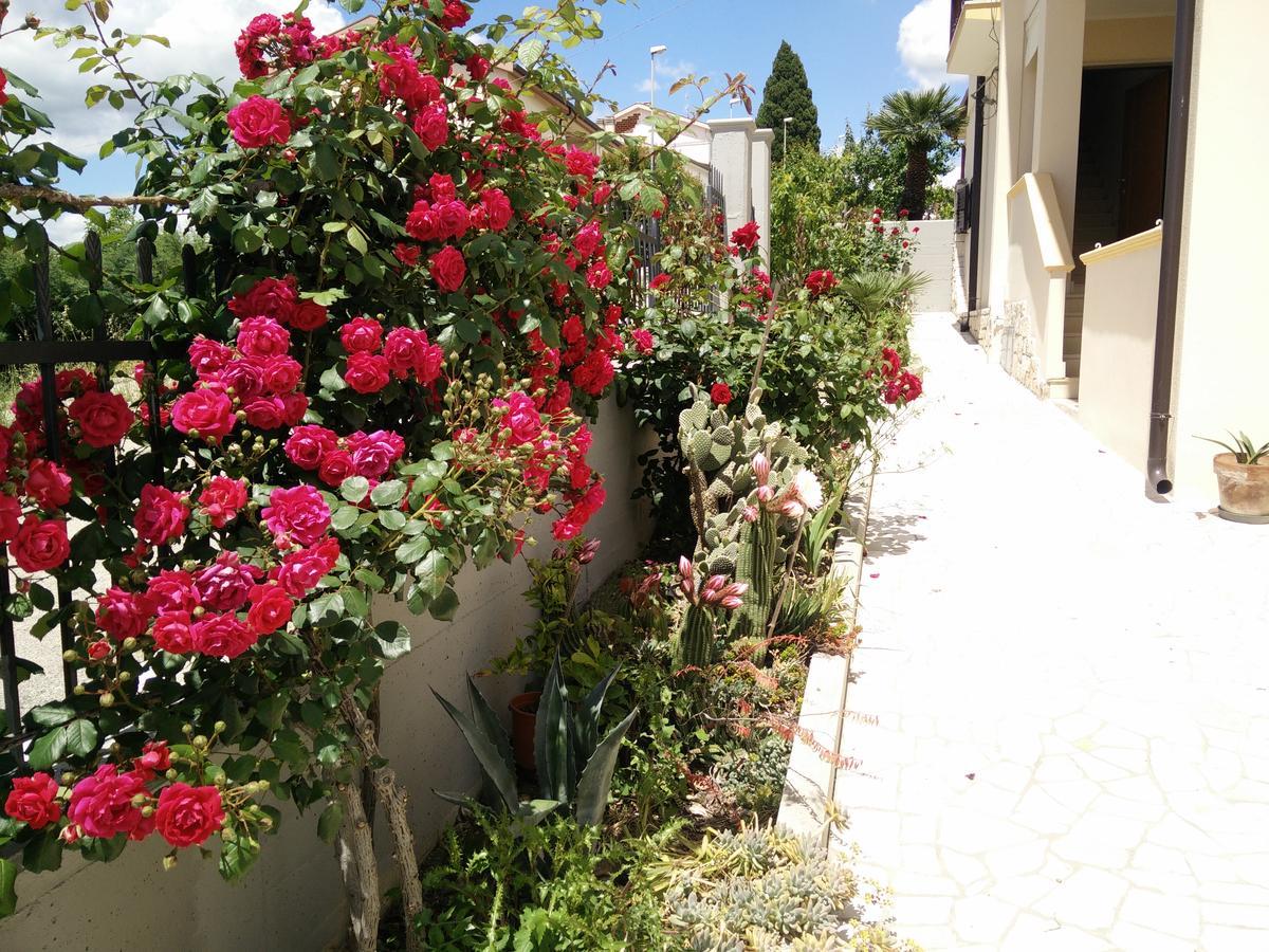 B&B Green Da Maria Matera Kültér fotó